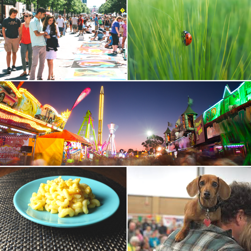 clayton nc harvest festival 2023 Fall In Love With Where You Live September 15th 17th